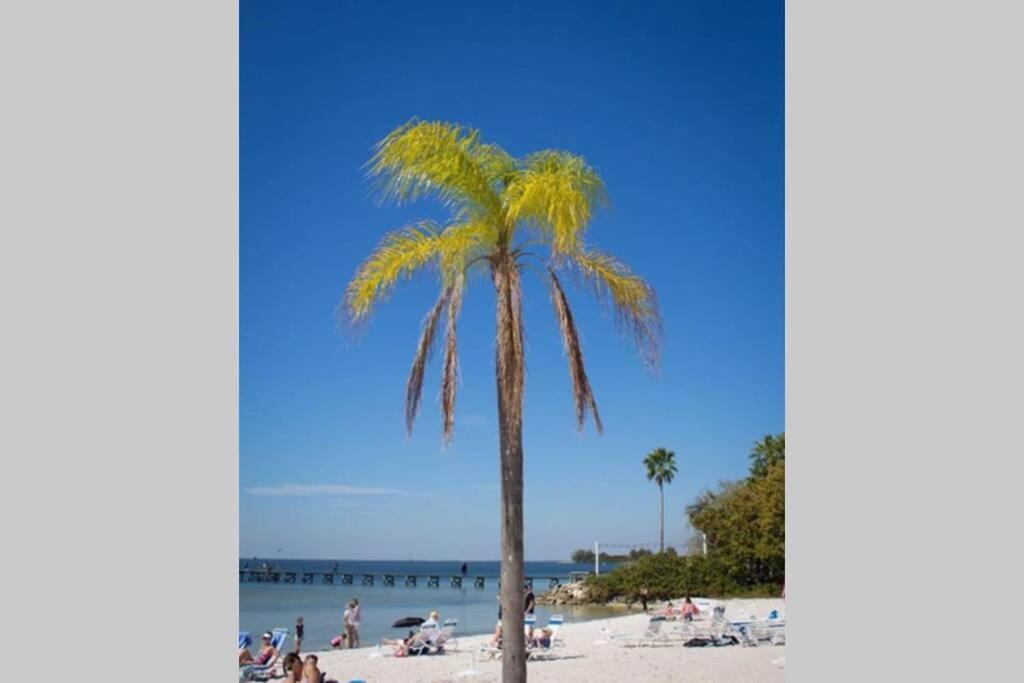 Sea Spray, Studio 114, Beach Steps Away! Pool+Wifi Ruskin Exterior foto